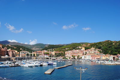 Sailboats moored in harbor by city against sky