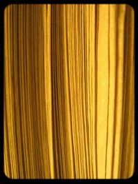 Full frame shot of yellow wall