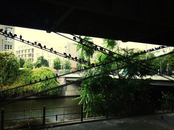 Built structure with trees in background