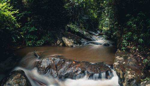 View of waterfall in forest