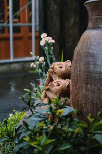 Close-up of a racoons on wood. a scene from japanese street in one rainy day