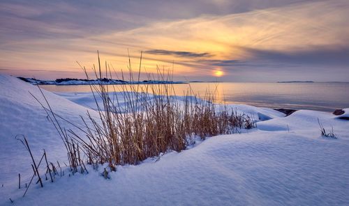 Scenic view of snow covered land against sky during sunset