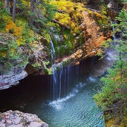 Scenic view of waterfall in forest