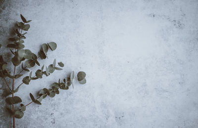 High angle view of snow on wall