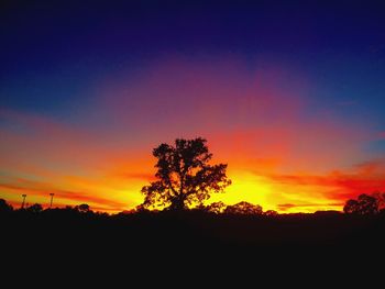 Silhouette trees against sky during sunset