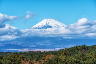 mountain