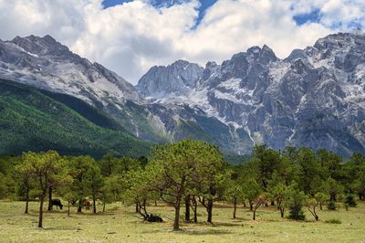 Scenic view of trees and mountains against sky