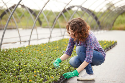 Full length of woman touching plants at botany