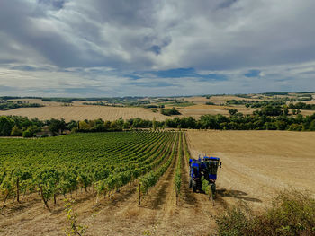 Scenic view of agricultural field against sky