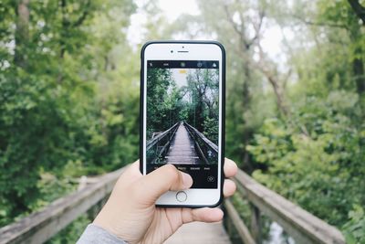 Hand holding mobile phone against trees and plants