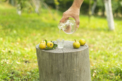 Hand holding fruit on field