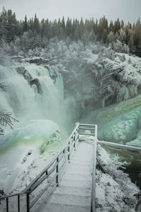 Scenic view of snow covered landscape