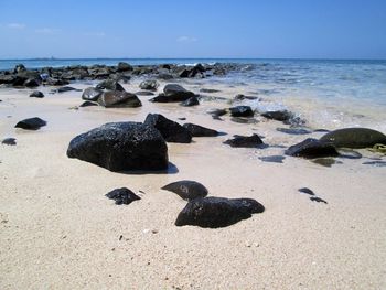 Rocks on shore at beach against sky