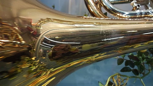 tuba