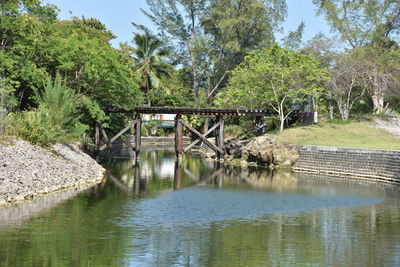 Bridge over trees against sky