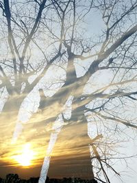 Low angle view of bare trees against sky at sunset