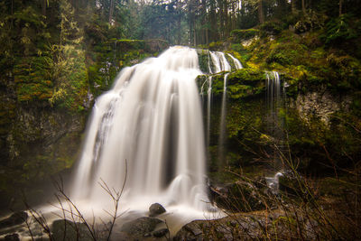 View of waterfall in forest