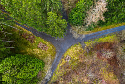 High angle view of road amidst trees in forest