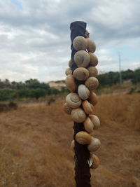 Stack of stones on field against sky