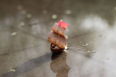 Close-up view of leaf on road