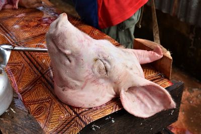 Close-up of pig head for sale in market