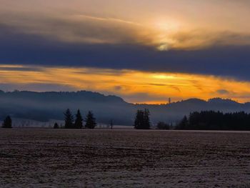 Silhouette trees on field against sky during sunset