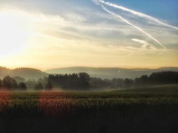 Scenic view of agricultural field against sky during sunset