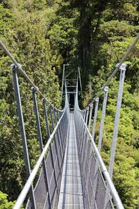 Footbridge amidst trees