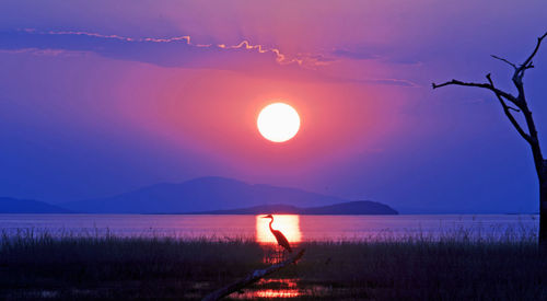 Scenic view of lake against sky during sunset