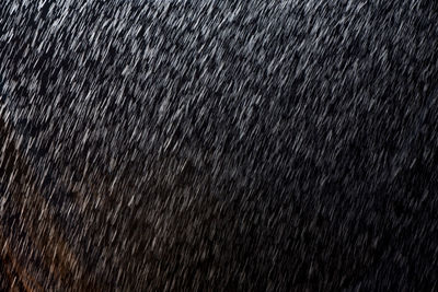 Full frame shot of raindrops on black background