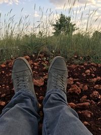 Low section of man standing by grass