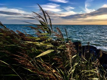 Scenic view of sea against sky during sunset