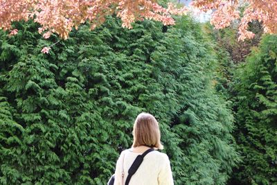 Rear view of woman standing against trees in park