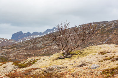 Scenic view of mountain against sky