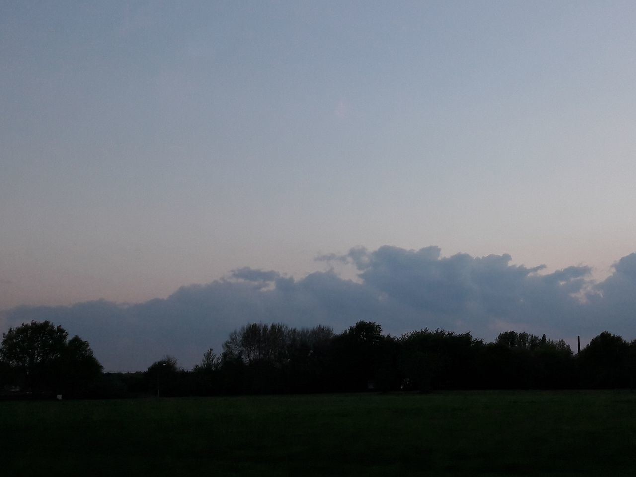 SCENIC VIEW OF TREES ON FIELD AGAINST SKY