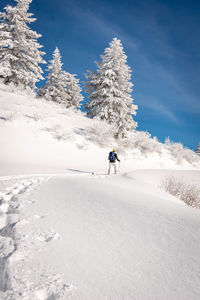 Person skiing on snowcapped mountain against sky