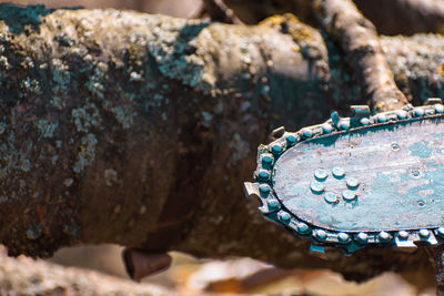 Close-up of rusty metal