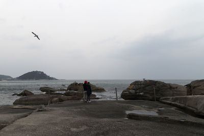 Rear view of birds flying over beach against sky