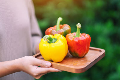 Close-up of hand holding bell peppers