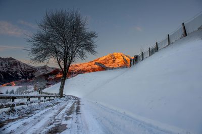 Snow covered trees against sky