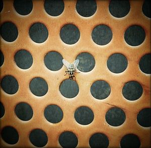 Full frame shot of tiled floor