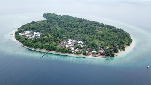 Aerial view of island on sea