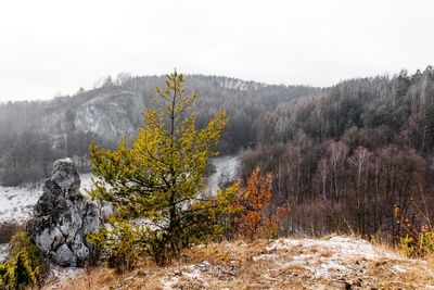 Scenic view of mountains