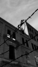 Low angle view of barbed wire against sky