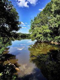 Scenic view of lake in forest against sky