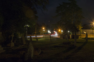 Illuminated trees at night