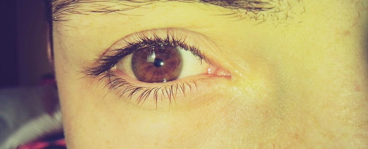 human eye, close-up, indoors, looking at camera, part of, human skin, eyelash, human face, portrait, eyesight, lifestyles, sensory perception, headshot, extreme close-up, unrecognizable person, person, front view