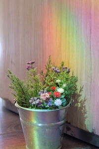 Potted plants on table against wall