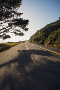 Empty road along trees and landscape