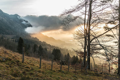 Scenic view of landscape against sky